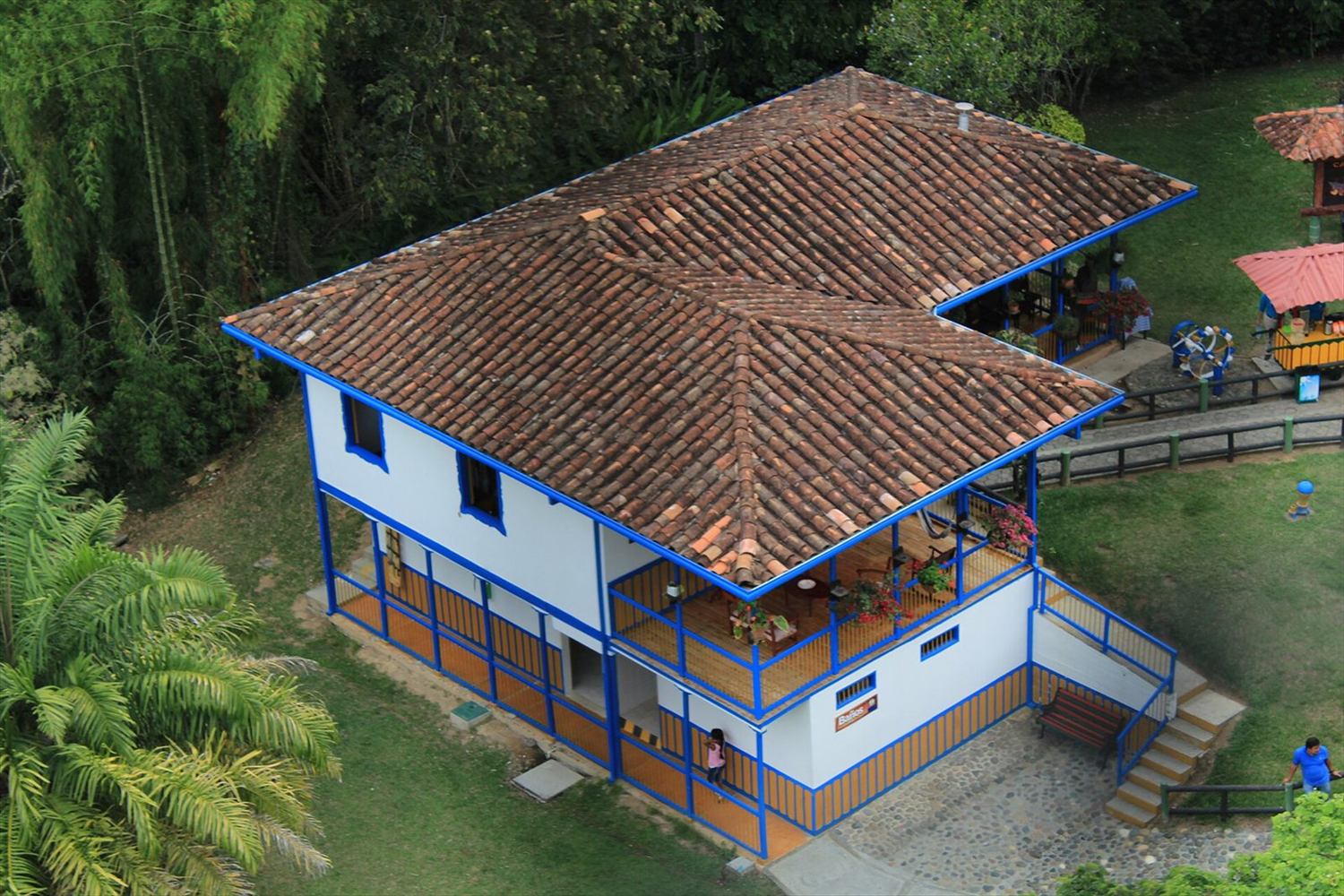 Cafetal en la región cafetera, Colombia